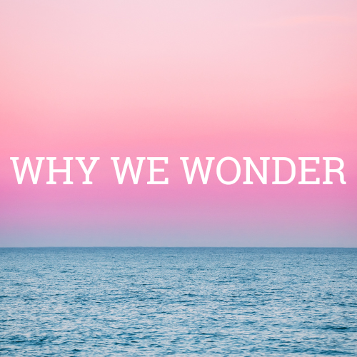 "Why We Wonder" with pink sky and ocean